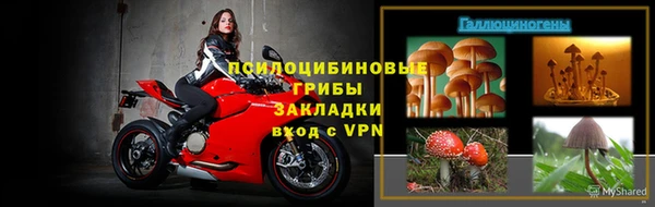 тгк Кукмор