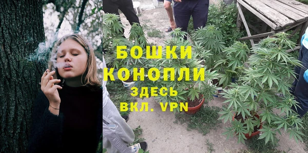 тгк Кукмор